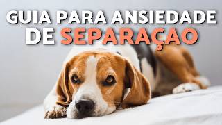 Como ajudar um cachorro com ansiedade de separação 🐾 (5 passos fáceis)