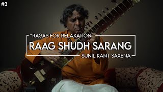 Shudh Sarang | Ragas for Relaxation | Sitar | #3
