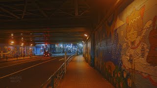 4K HDR｜Tokyo night walk from  Shinjuku to Shin-Okubo