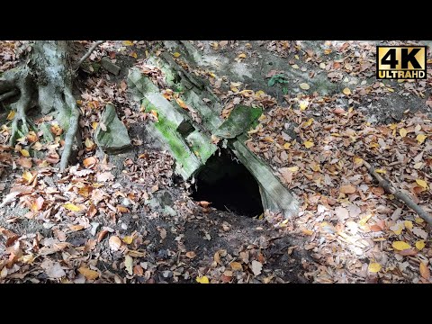 Altbergbau: Kurzer verbrochener Stollen, Arzberg bei Spitz/NÖ