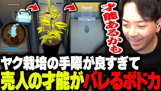 種を注文 - 【悲報】ヤク栽培の手際が良すぎて、売人の才能がバレてしまうボドカ【Schedule I】