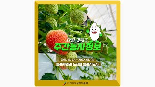 주간농사정보 12월 넷째주