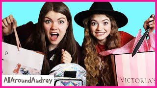 Audrey and Jordan Sisters Buy Outfits For Each Other Shopping Challenge / AllAroundAudrey
