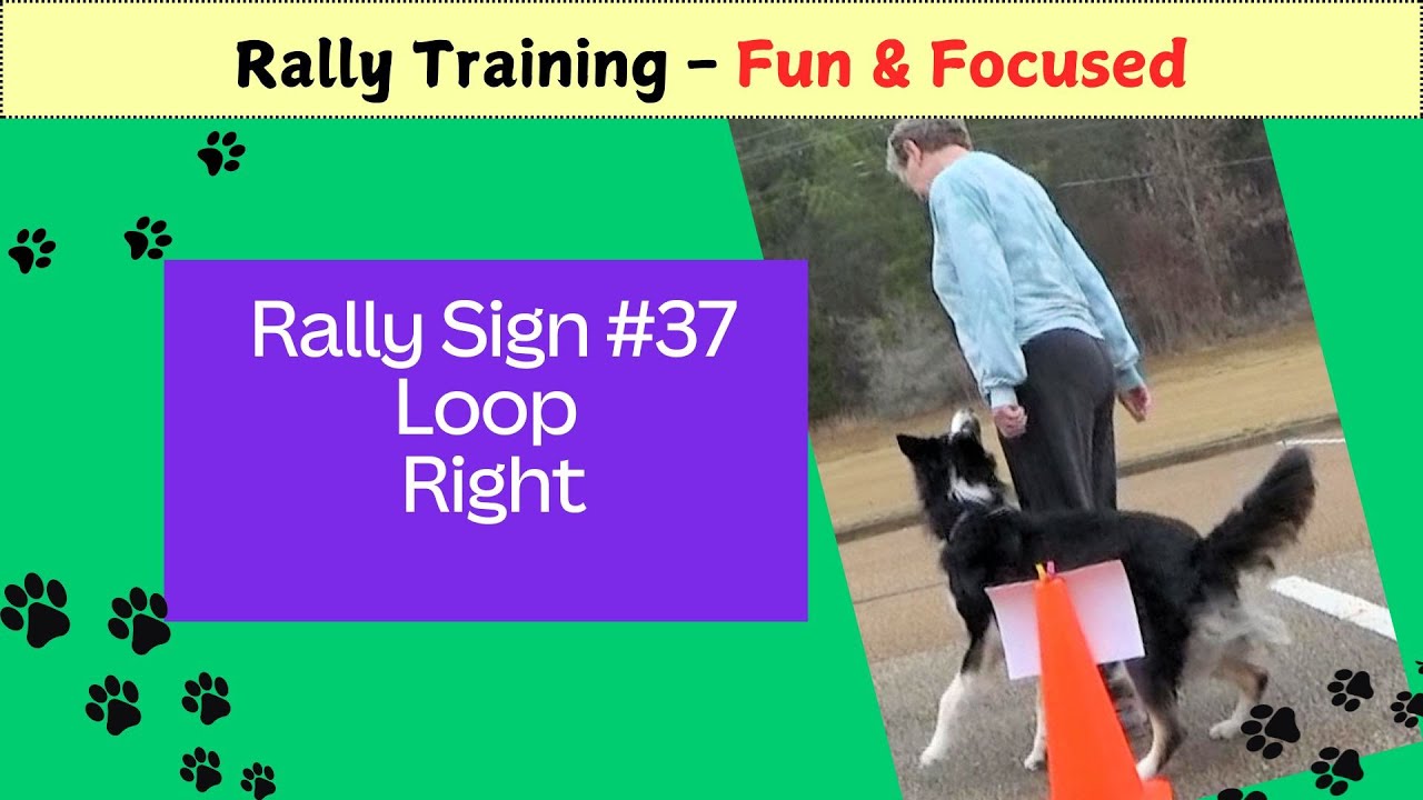 Rally Sign #37 Loop Right - Training Fun & Focused - DebbyQuigley.com