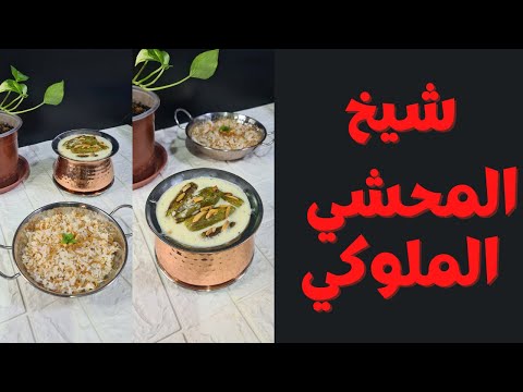 , title : 'شيخ المحشي او مخشي الكوسا باللبن من @Mais recipes مطبخ ميس'