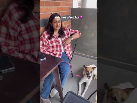 Grateful for each day as a dog trainer #bestjob #femaleentrepreneur #smallbusiness #dogtraining