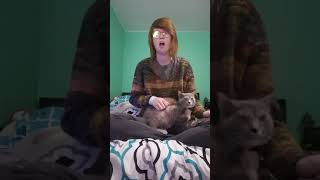 Castle Of Glass - Linkin Park Cover
