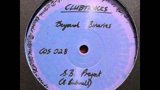 S.B. Project - Beyond Binaries (A1)