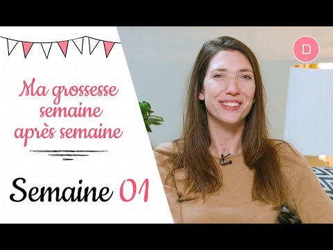 1st week of pregnancy - My pregnancy week by week