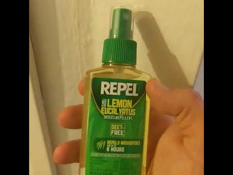 The best technique to get rid of spiders for good!!! #repel #spider #bugspray