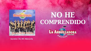 No He Comprendido Lyrics English Translation
