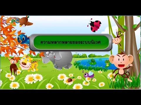 ความหลากหลายของสิ่งมีชีวิต