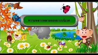 สื่อการเรียนการสอน ความหลากหลายของระบบนิเวศม.3วิทยาศาสตร์