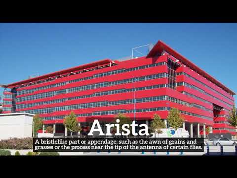 What is Arista? | How to Say Arista in English? | How Does Arista Look?