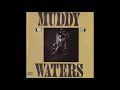 Muddy Waters mean-  Old Frisco  blues - clacer cabeza Muddy Waters mean-  Old Frisco  blues