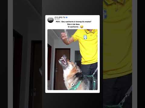 O cachorro dele tá meio BRAVO ACHO!!! 😂😂😂 #memes #humor #shorts