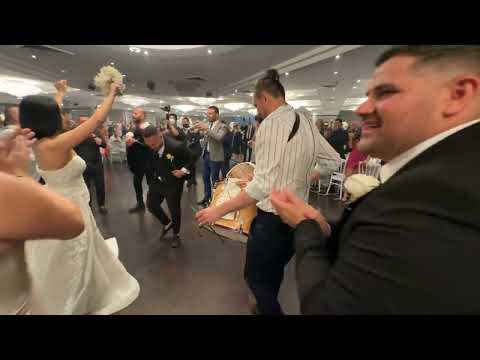 Dimitar & Jasmina Seremetkoski (Bride & Groom Grand Entrance) DESPINA BAND - Ilija Ampevski 🎷🪗🥁