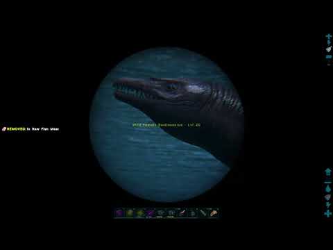 Ark Survival- Basilosaurus Easy Tame - How-to. PVE
