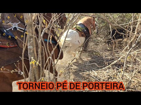 (DRONE) TORNEIO PÉ DE PORTEIRA SÍTIO BARAÚNA GROSSA IGUARACY-PE ORG, ZÉ VAQUEIRO E RODRIGO 