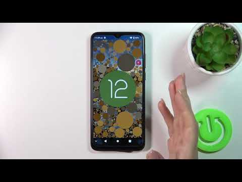 How to Check Android Version in ZTE Blade A53+? Show Operating System Specification!