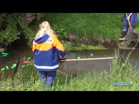 Krokodilrennen auf der Rodau