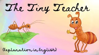The Tiny Teacher।।Class 7।। Explanation in English।।