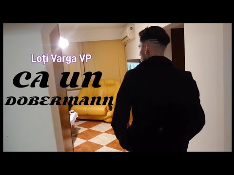 Loți Varga ❌ ca un, Dobermann 🌏