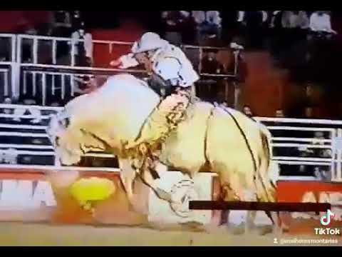 Eu. No rodeio de barretos ano. 2001