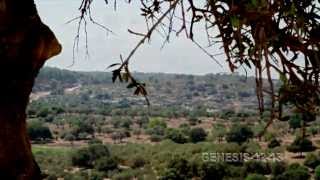 Israel Indivisible _ trailer 2014-HD