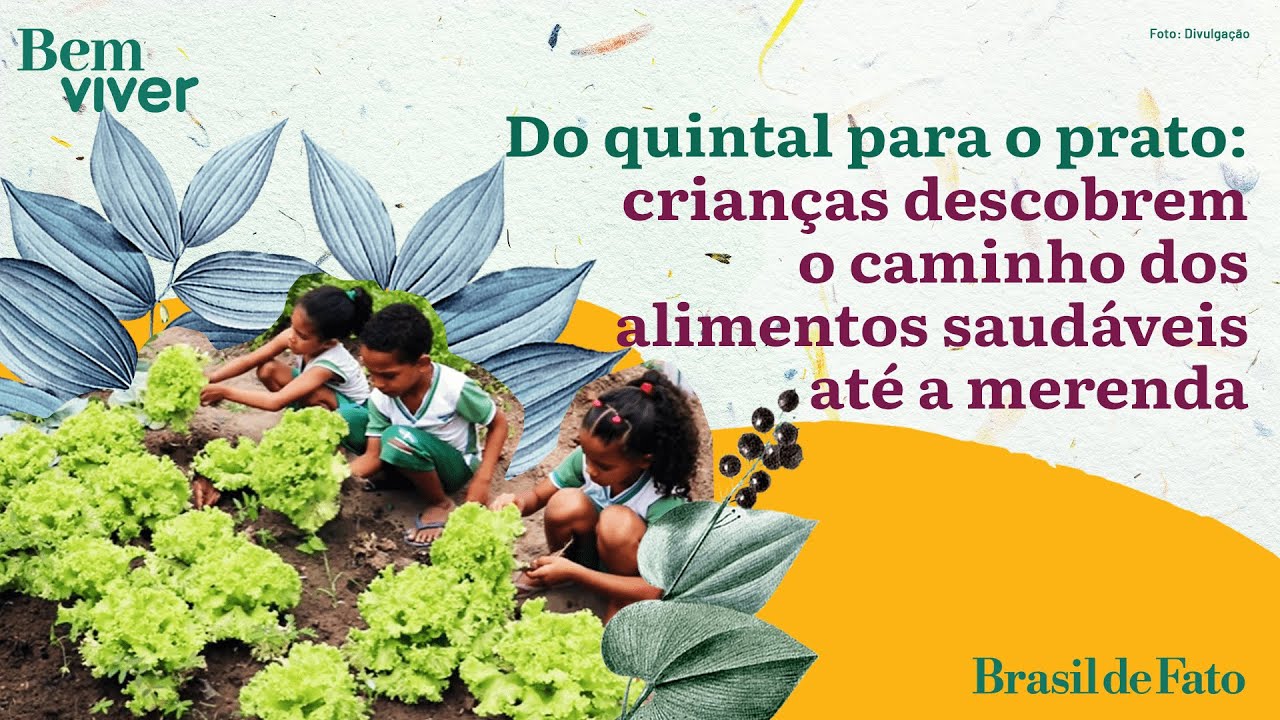 Do quintal para o prato: crianças descobrem o caminho dos alimentos saudáveis até a merenda