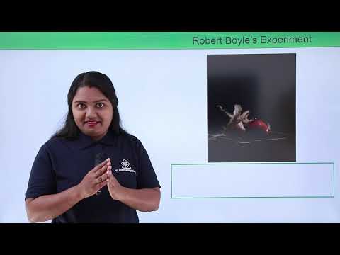 Class 9th Physics GRAVITATION Gravitation introduction