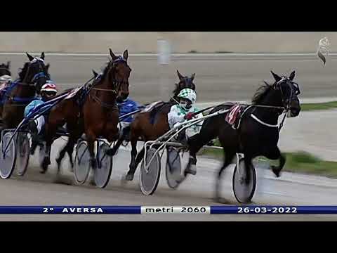 Aversa trotto 26 Marzo 2022 - 2° Corsa