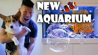 STARTING NEW SALTWATER REEF AQUARIUM | WHAT I LEARNED - Life After College: Ep. 458