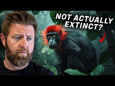 7 Extinct Animals That I Believe Could Still Be Alive...