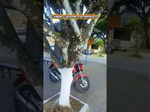 Cidade de Catende Pernambuco