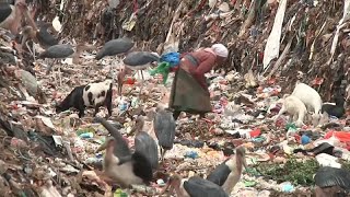 Waste pickers at Kenyan dump face cancer and infertility