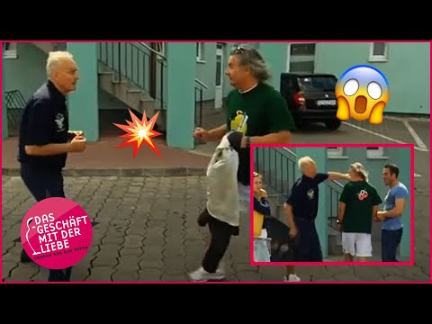 Der Streit zwischen NOVAK & KLEIN ESKALIERT - Sie SCHLAGEN sich🙄 | Das Geschäft mit der Liebe | ATV