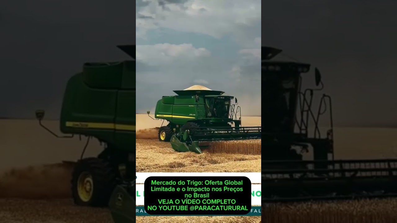 Mercado do Trigo: Oferta Global Limitada e o Impacto nos Preços no Brasil