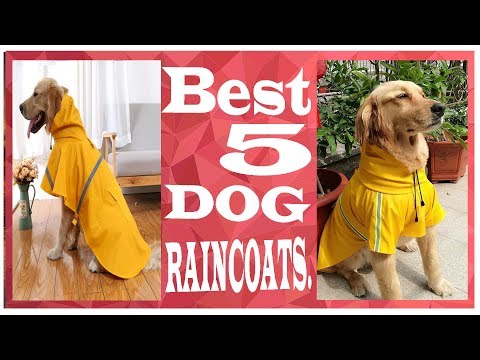 Best 5 dog raincoats || dog raincoats || Best 5 dog raincoats 2019