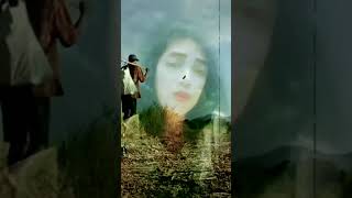 Mencetak Sawah - Iwan Fals(music)//video lipcyng