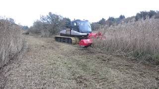 Dansk naturklip med Slåmaskine ved Rødding