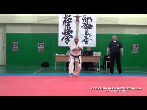 Open Ukraine Cup (WKO) Final Kata (+35) Shymkiv Ivan (aka) - Slynko Sergei