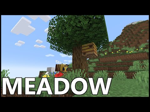 RajCraft - Where To Find The MEADOW BIOME In MINECRAFT