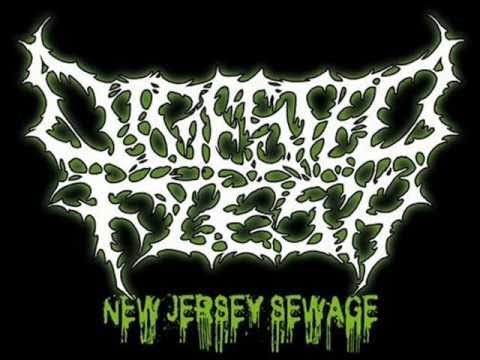 Digested Flesh - Copulation of the Dead
