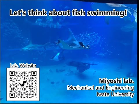 Let's Think about Fish Swimming!