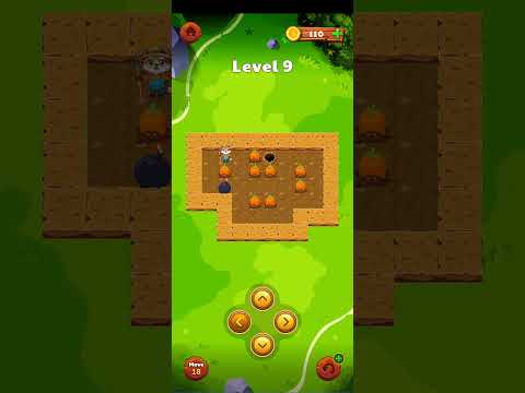 Mice In Farm
