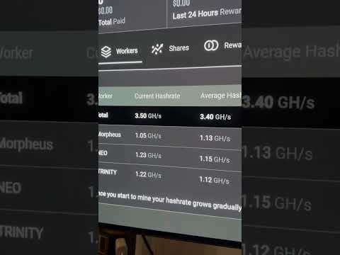 Day 1 Solo Mining ETC Results - Did I find a block?