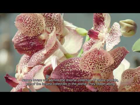 Náhled pro video reference