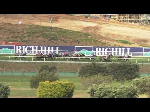 Nz Derby what a performance Orchestral🏇#nz #derby #horse #racinghorse #racingnews #racingtips