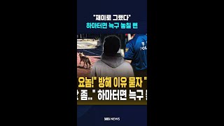 재미로 그랬다..하마터면 늑구 놓칠 뻔 #shorts